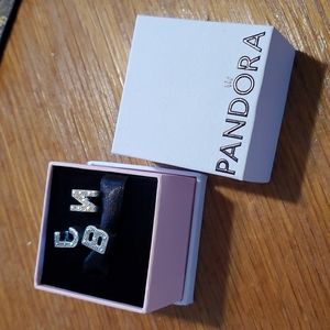 Pandora Bracelet charms